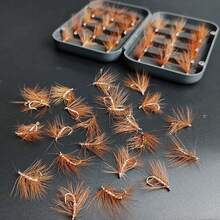 （25 件套苍蝇）飞蝇钓鱼人造苍蝇套装 | 有翅麋鹿石蛾钓鳟鱼鲈鱼飞蝇饵 | 含飞蝇盒、干蝇、若虫材料人造羽毛和人造丝