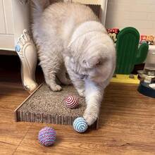 猫用剑麻球，耐用可编织自娱宠物玩具，颜色随机，适合所有品种尺寸，无需电池 - 彩色 - 查看 3