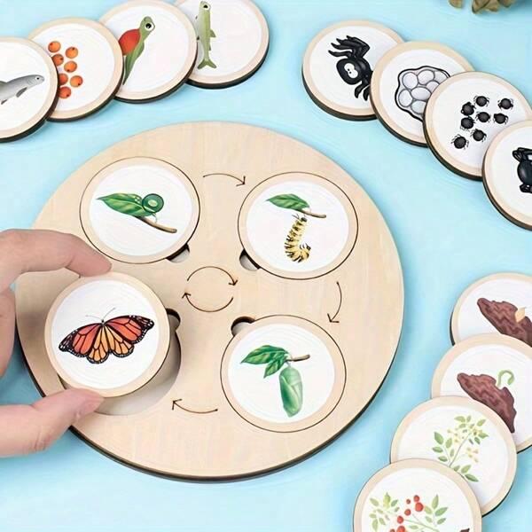 Juego de pizarra del ciclo de vida, juguetes educativos de ciencias biológicas, bandejas sensoriales con imágenes de animales y plantas, juguetes de madera para clasificar los ciclos de vida de animales y plantas, el regalo perfecto para la educación científica