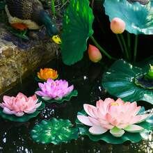 6 أزهار بردي طبيعية عائمة، مناسبة لديكور المنزل والأحواض المائية وترتيب البرك، كذلك هدايا مثالية لعيد الميلاد وعيد الأم وعيد الأب