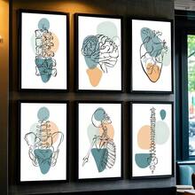 1 pièce Affiche murale de peinture d'art d'anatomie médicale abstraite, décoration de maison, salon, chambre à coucher, bar, cadeau optionnel avec cadre - Multicolore - Voir 1
