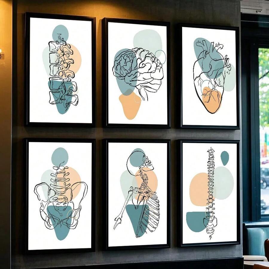 1 pièce Affiche murale de peinture d'art d'anatomie médicale abstraite, décoration de maison, salon, chambre à coucher, bar, cadeau optionnel avec cadre - Multicolore - Voir 1