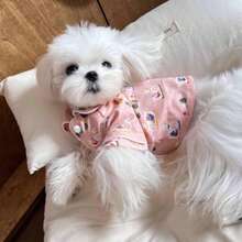 Lightweight Pet Clothes For Cats And Small Dogs, Swan Pajama Shirts, Extremely Adorable Dog Sleepwear For Indoor & Air-Conditioning, Spring/Summer
