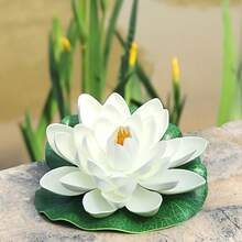 6 أزهار بردي طبيعية عائمة، مناسبة لديكور المنزل والأحواض المائية وترتيب البرك، كذلك هدايا مثالية لعيد الميلاد وعيد الأم وعيد الأب