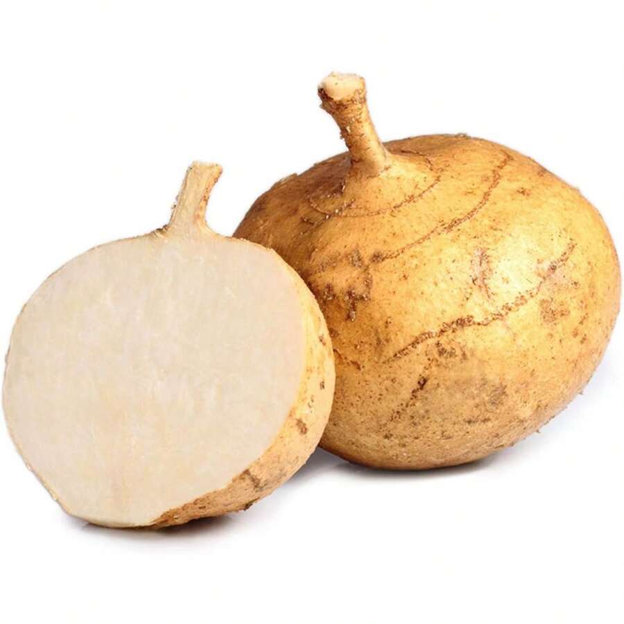 100 Jicama Seeds Drought Resistant Mexican Turnips Mexican Potato Vegetable - 100 - View 1