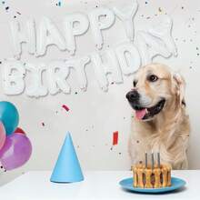 白色生日字母氣球橫幅 雛菊氣球 雛菊聚酯箔氣球 附「Happy Birthday」文字，適合成人活動、拍照道具與簽到拍照、生日派對裝飾，易於組裝，歡樂設計，鋁箔氣球，慶典裝飾，畢業場合必備 - 彩色 - 查看 6