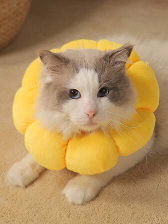 1 pieza Collar isabelino con diseño de girasol para gatos y perros, collar de recuperación quirúrgica para mascotas, anti-lamido y anti-arañazos
