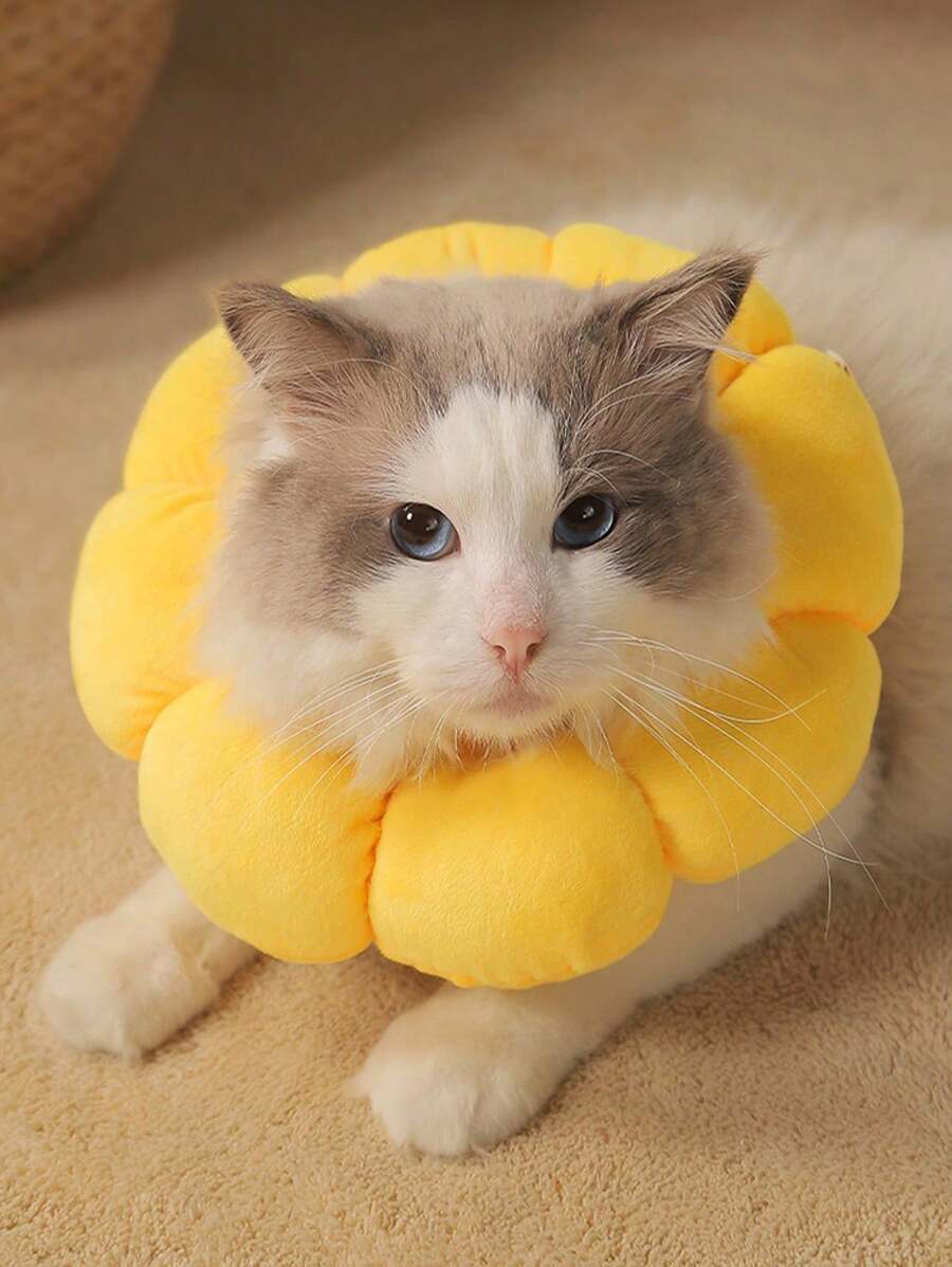 1 Peça Colar Colarinho Elizabetano de Girassol para Gatos e Cachorros, Colar de Recuperação Cirúrgica para Animais de Estimação, Anti-Lambida e Anti-Arranhão