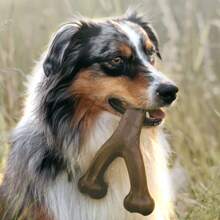宠物玩具磨牙棒狗狗缓解鼻塞牙齿清洁磨牙骨耐咬无损狗玩具小型中大型犬磨牙骨棒