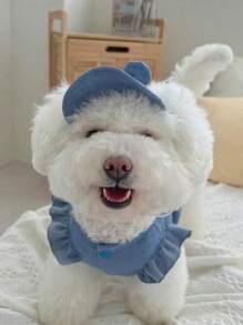 2pcs Pet Cat & Dog Spring/Summer Outfit: Denim T-Shirt Vest + Cute Hat