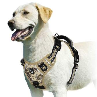 Arnés para perros, arnés para mascotas sin tirones con 2 ganchos para correa, chaleco acolchado ajustable para perros, chaleco de Oxford reflectante sin ahogo con asa de control fácil para perros grandes