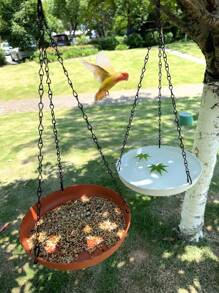 1 pezzo Mangiatoia per uccelli da appendere per giardino esterno - In plastica resistente, a doppio uso per cibo e acqua, facile da installare, adatta per pappagalli e colibrì, stazione decorativa per uccelli con catena