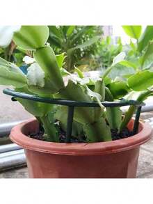 4/8 piezas Soportes de plantas Aros de soporte de plantas Marcos de soporte de plantas Enrejado