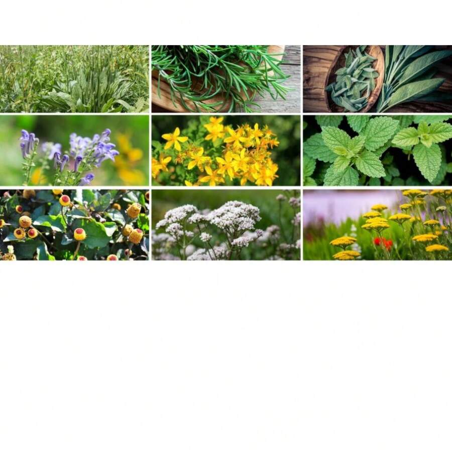 In Stock Survival Garden, Combo - 80 Vegetable & Medicinal Herb Varieties, Over 9100 Seeds, Heirloom, Long Shelf Life, Emergency, Gardening Gift - 變體1 - 查看 1