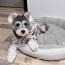 Lightweight Pet Clothes For Cats And Small Dogs, Swan Pajama Shirts, Extremely Adorable Dog Sleepwear For Indoor & Air-Conditioning, Spring/Summer