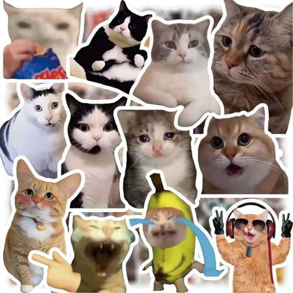 100pcs Cat Sticker Pack, Funny Meme Sticker Set For Scrapbooking, Dorm Decoration, DIY Gifts, Social Media, Bookmarks, Student & Best Friend Gift Box