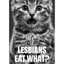 1 buc / 3 buc Postere de perete cu cadru opțional / Înrămat LGBT Lesbiene Eat What Meme Cat Poster Canvas Printing Funny Meme Wall Decor Lesbiene Bar Home Wall Decor Comic Prints Decorare