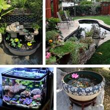 6 أزهار بردي طبيعية عائمة، مناسبة لديكور المنزل والأحواض المائية وترتيب البرك، كذلك هدايا مثالية لعيد الميلاد وعيد الأم وعيد الأب