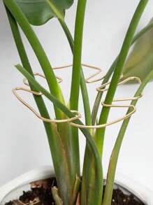 Plant Stem Support, Reusable Metal Climbing Plant Stems Support Stake,Durable Monstera Stabilizer Grapple Holder, Unique Design For Climbing Plants, Turtle Shell Bamboo Clamp Set, Ideal Plant Support For Thriving Growth