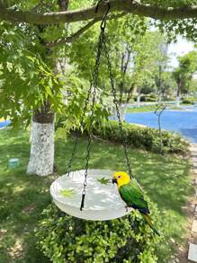 1 pezzo Mangiatoia per uccelli da appendere per giardino esterno - In plastica resistente, a doppio uso per cibo e acqua, facile da installare, adatta per pappagalli e colibrì, stazione decorativa per uccelli con catena