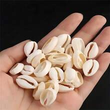 100g White Striped Seashell Decor - Natural Clam Shell Micro Aquarium Accessories, For Making Terrarium, Picture Frames And Jewelry Design