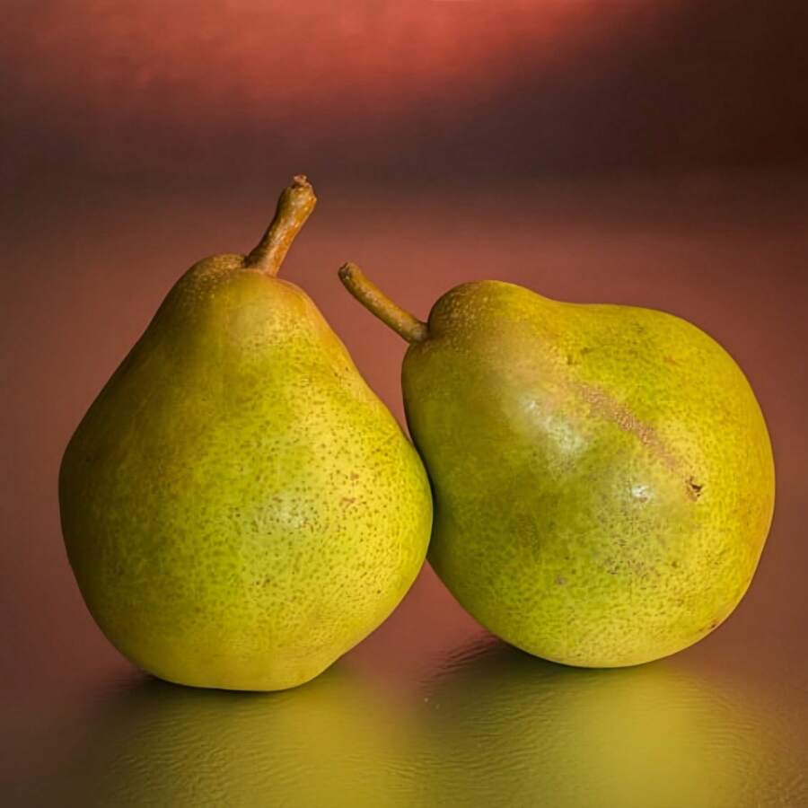 Flower Seed Pear Tree Fruit Seeds, Fast Growth And Germination Speed, Rich In Vitamins, Sweet Taste, Suitable For Planting In Outdoor Gardens, Attracting The Perfect Gifts Of Passengers, Suitable For The Planting And Breeding Of Courtyard And Family Farms - 30 - Xem 1