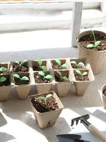 纸浆育苗杯营养盘一次性使用纸浆圆形/方形多肉植物花盆绿植育苗盆套装适用于多肉植物叶片繁殖、兰花、蔬菜育苗 - 棕色 - 查看 3