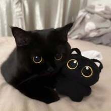 1pc Cute Black Cat Plush Doll, Durable Chew Doll For Cats To Self Play And Relieve Boredom, Pet Teeth Cleaning Doll With Sound