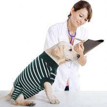 Traje de recuperación para perros, Atuendo de recuperación para perros, Traje de recuperación post-operatoria (Adecuado para perros y gatos), Camisa de recuperación para perros (Para perros hembra y macho), Alternativa al cono collar, Chaleco post-cirugía