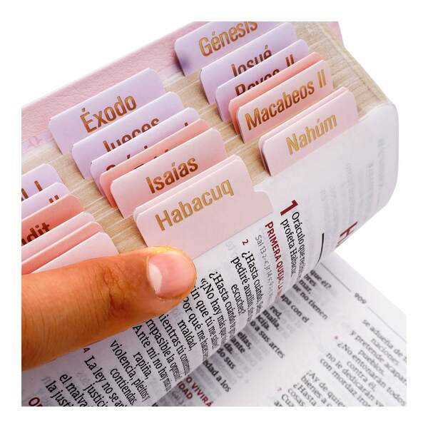 Separadores Adhesivos para Biblia con Letras Doradas | 80 Pestañas Laminadas Incluye Blanco Personalizable | Antiguo y Nuevo Testamento | Accesorios Cristianos Estudio Bíblico