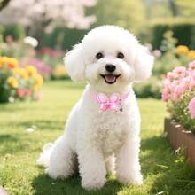 4 件装幼犬领结带铃铛双层蝴蝶结狗领结可调节可爱狗领结宠物美容狗狗配件 - 彩色 - 查看 6