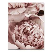 1pc Peony Flower Canvas Painting Nordic Poster Rose Gold Floral Scandinavian Style Print Wall Art Decoration Picture Living Room Decor Optional Frame
