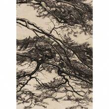 1pc Gift Vintage Pine Tree Branch Drawing Posters And Prints Canvas Painting Wall Arts Picture For Living Room Home Decoration Optional Frame - Multicolor - View 20