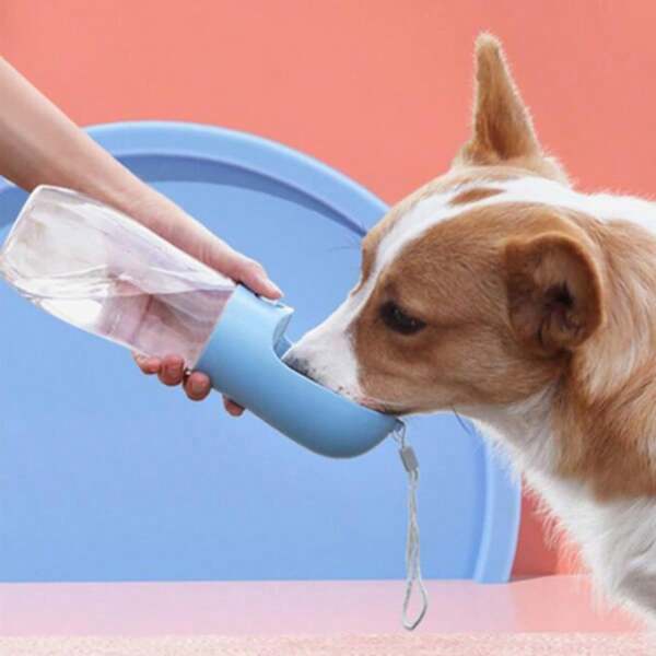 Portable Pet Water Bottle, Leakproof Dog/Cat Outdoor Walking Water Bowl For Chihuahua, Bulldog And Other Pets