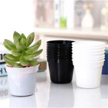 10pcs 7x7cm Mini Circular Succulent Plant Seedling Pot Indoor Tabletop Mini Flower Pot Round Plant Cultivation Plastic Pot