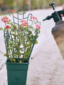 [Stackable Rack] 5/10pcs Trellis Support Rack, Multi-Functional Balcony Climbing Tool For Ivy, Rose, Vining Plants, Plastic, Stackable, Climbing, Potted Plants, Small, Easy To Use - Multicolor - View 4