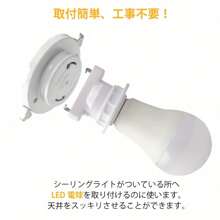 Lamp Bases
