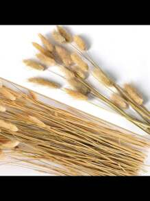 60pcs White Natural Pampas Grass Decor Rabbit Tail Dried Flowers Boho Style Home Decoration, Pampas Grass Room Decor, Valentine's Day, Gift Gifts Birthday Graduation,Fall Decor,Autumn