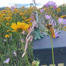 1 pieza Estatua de hada de resina exquisita, decoración de jardín. El hada lleva ropa verde fresca y sostiene una rosa delicada en su mano. Con alas en forma de hoja que parecen de la propia naturaleza, el diseño realista da la impresión de que está a punto de emprender el vuelo. Debido a sus propiedades de material, es adecuada para colocar en jardines exteriores, a lo largo de los caminos del jardín o cerca de las camas de flores, complementando el paisaje natural para crear un jardín de cuento de hadas.