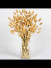 60pcs White Natural Pampas Grass Decor Rabbit Tail Dried Flowers Boho Style Home Decoration, Pampas Grass Room Decor, Valentine's Day, Gift Gifts Birthday Graduation,Fall Decor,Autumn