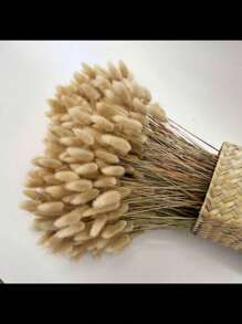 60pcs White Natural Pampas Grass Decor Rabbit Tail Dried Flowers Boho Style Home Decoration, Pampas Grass Room Decor, Valentine's Day, Gift Gifts Birthday Graduation,Fall Decor,Autumn