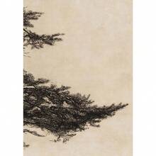 1pc Gift Vintage Pine Tree Branch Drawing Posters And Prints Canvas Painting Wall Arts Picture For Living Room Home Decoration Optional Frame - Multicolor - View 12