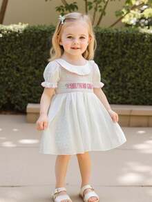 6M-4T Baby Girl Birthday Dress Short Sleeve Cake Embroidery Smocked Summer Party Dress,Without Headband - Pink - View 3