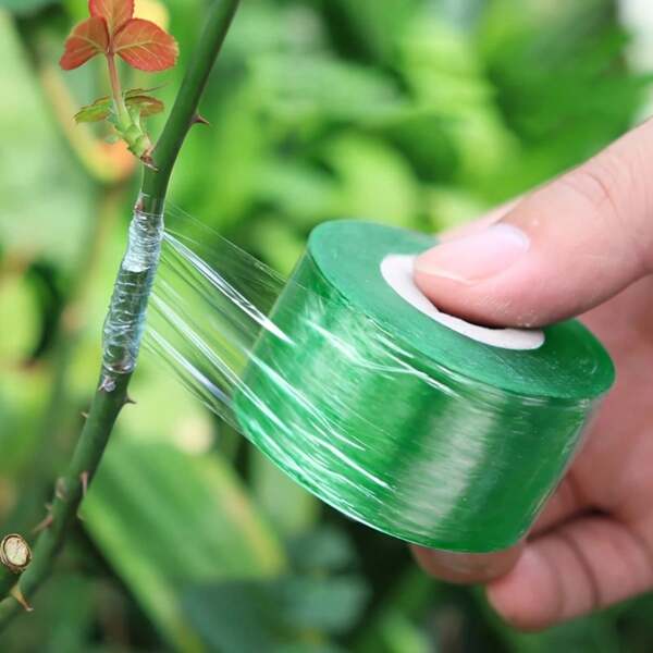 1 Roll Of High-Quality Self-Adhesive Grafting Tape, Plastic, No-Knot Needed For Fruit Tree Seedlings & Budding Straps, Grafting Tools For Fruit Trees