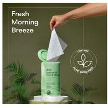 Biopure Ant-Bacterial Wipes