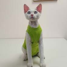 Lightweight Summer 4-Leg Breathable Fresh Sphynx Hairless Cat Clothes, Prevent Scratching Full Body Coverage