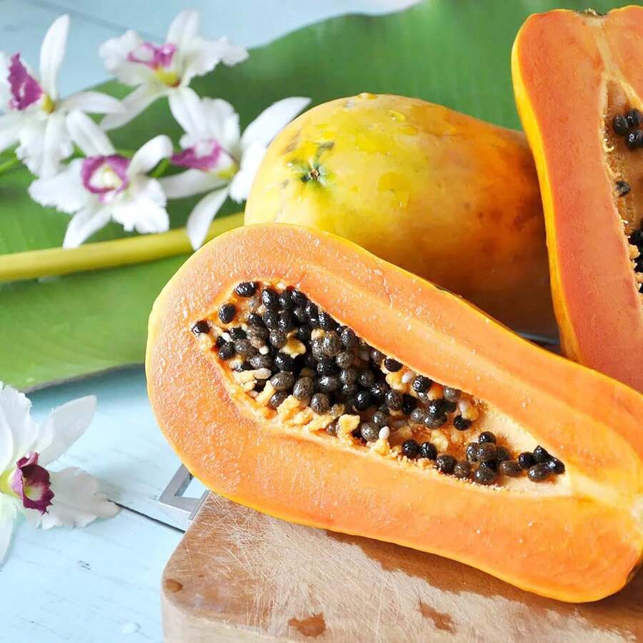 Papaya Seeds 30Pcs Perennial GMO Free Fast-Growing Flavor Courtyard Outdoor Tropical Fruit Seeds - Variant1 - View 1