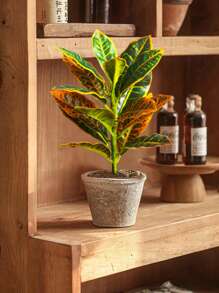 24-41cm Artificial Ficus Tree Branch Fake Garden Croton Plants Desktop Landscape Leaves Plastic Tropical Rubber Tree For Home Garden Kitchen Dining Room Balcony Party Wedding Decoration