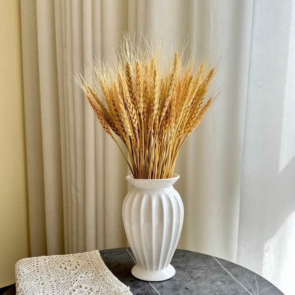 200/100/50/1 Peça Hastes de Trigo Seco, Orelhas de Trigo Natural Seco, Flores de Grãos para Arranjo Floral de Mesa de Jantar Doméstica, Arte de Decoração de Casamento, Plantas Artificiais