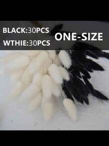 60pcs White Natural Pampas Grass Decor Rabbit Tail Dried Flowers Boho Style Home Decoration, Pampas Grass Room Decor, Valentine's Day, Gift Gifts Birthday Graduation,Fall Decor,Autumn